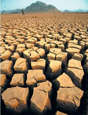 優(yōu)化水資源 改變城市生活_新浪汽車_新浪網(wǎng)